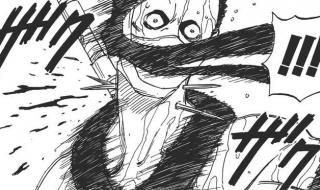 小小忍者海贼王 小小忍者海贼王