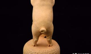 猪年摸猪头 猪年摸猪头