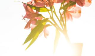 酷我音乐盒官方网站 酷我音乐盒官方网站