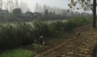 扬州朴席镇 扬州朴席镇