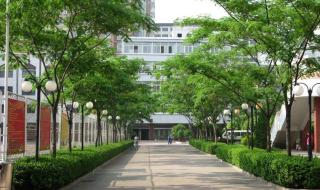 艺术特长生招生 艺术特长生招生