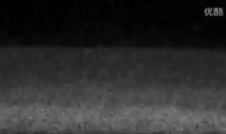 wwe送葬者出场音乐