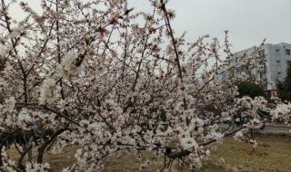 武安体育场 武安体育场