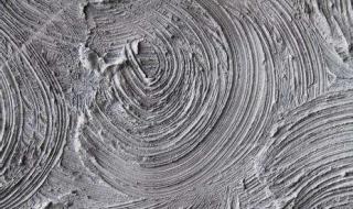 万年青水泥 万年青水泥