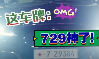 729车牌是什么意思 729车牌是什么意思