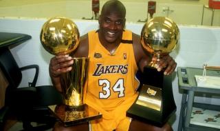 综合格斗怎么报名